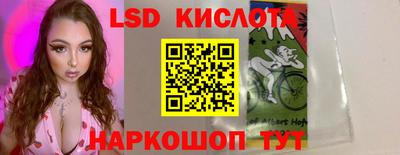 гидра Кандалакша