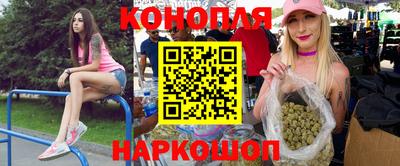 гидра Кандалакша