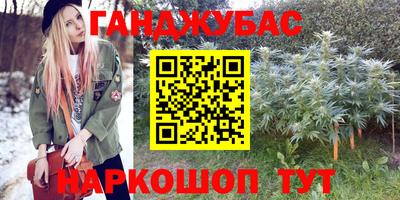 гидра Кандалакша