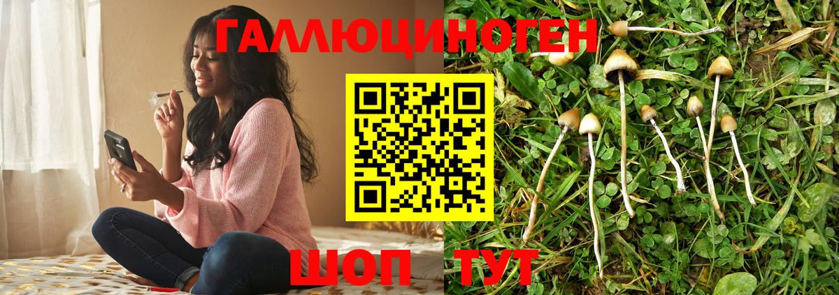 Псилоцибиновые грибы мухоморы Чистополь