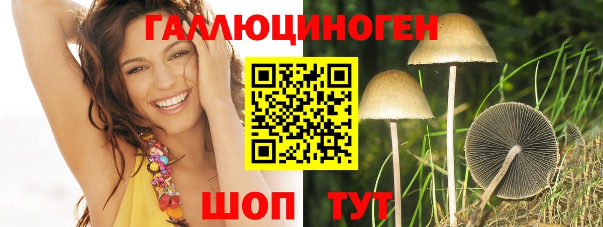 Чистополь  Псилоцибиновые грибы Psilocybe  Вход с VPN  Псилоцибиновые грибы ЛСД 